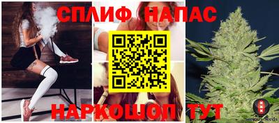 гашик Балахна
