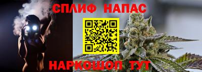 гашик Балахна