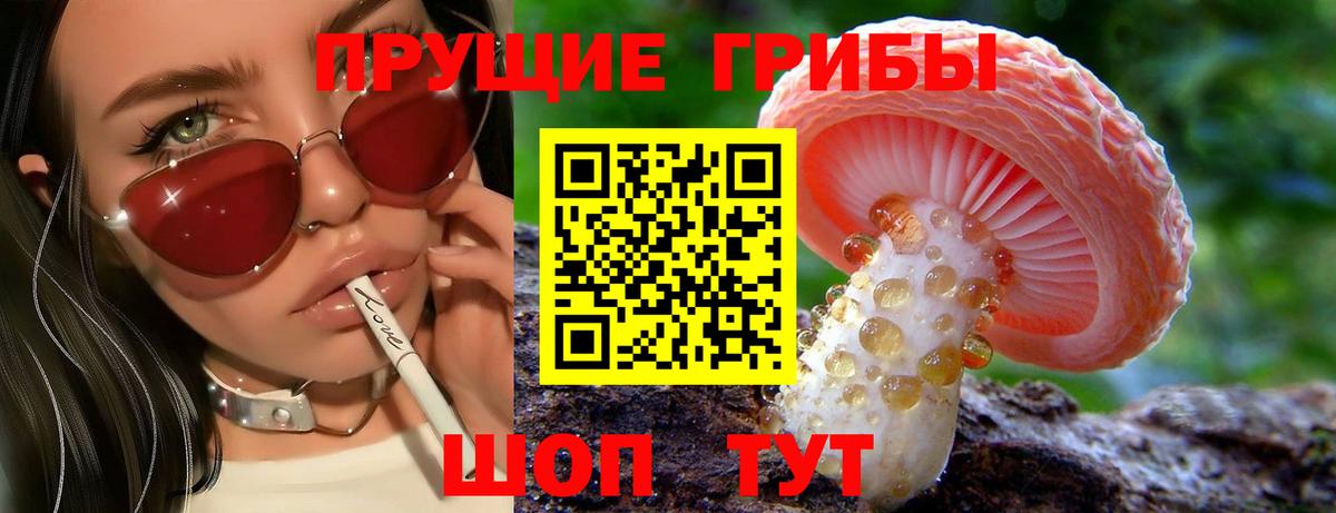 Псилоцибиновые грибы GOLDEN TEACHER  Вход с VPN  Грязи 