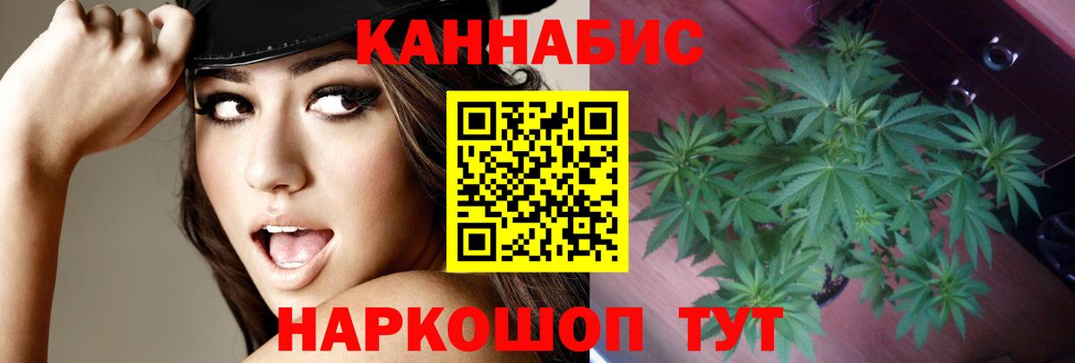 Марихуана тримм  Марихуана гибрид  Вход с VPN  МАРИХУАНА White Widow  Каннабис ГИДРОПОН  Грязи 
